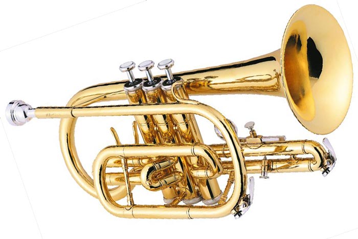 Poids léger, accessoires d'instruments Sourdine de trompette, pour les  débutants en trompette pour la performance sur scène, : :  Instruments de musique et Sono